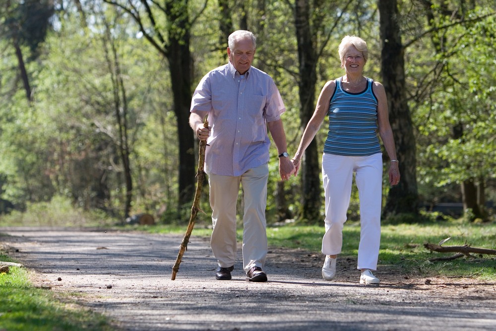Balance and Gait Therapy